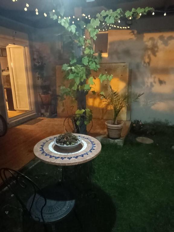 Charming guest suite in triborder area – photo 14