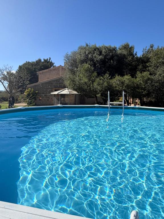 a large blue swimming pool with trees in the background at Son Rapinya Porto Cristo in Porto Cristo