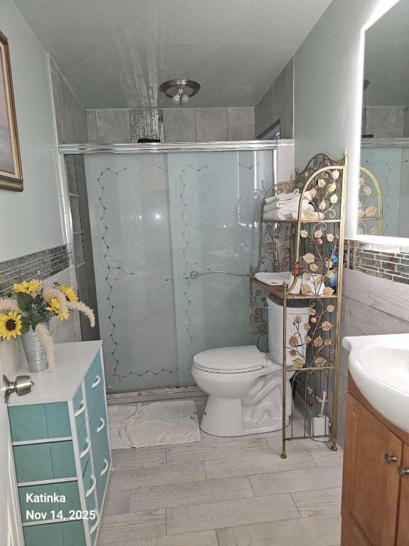 a bathroom with a toilet and a shower and a sink at 2#studio In Clearwater usa in Clearwater