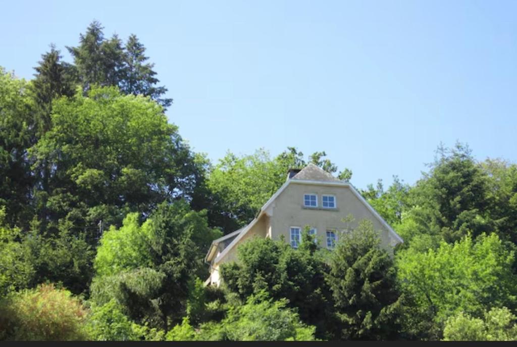 a house in the middle of some trees at La Villa des Hauts Chênes in Bouillon