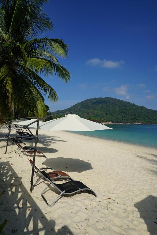 two lounge chairs on a beach with a palm tree at Perhentian Island Resort in Perhentian Islands