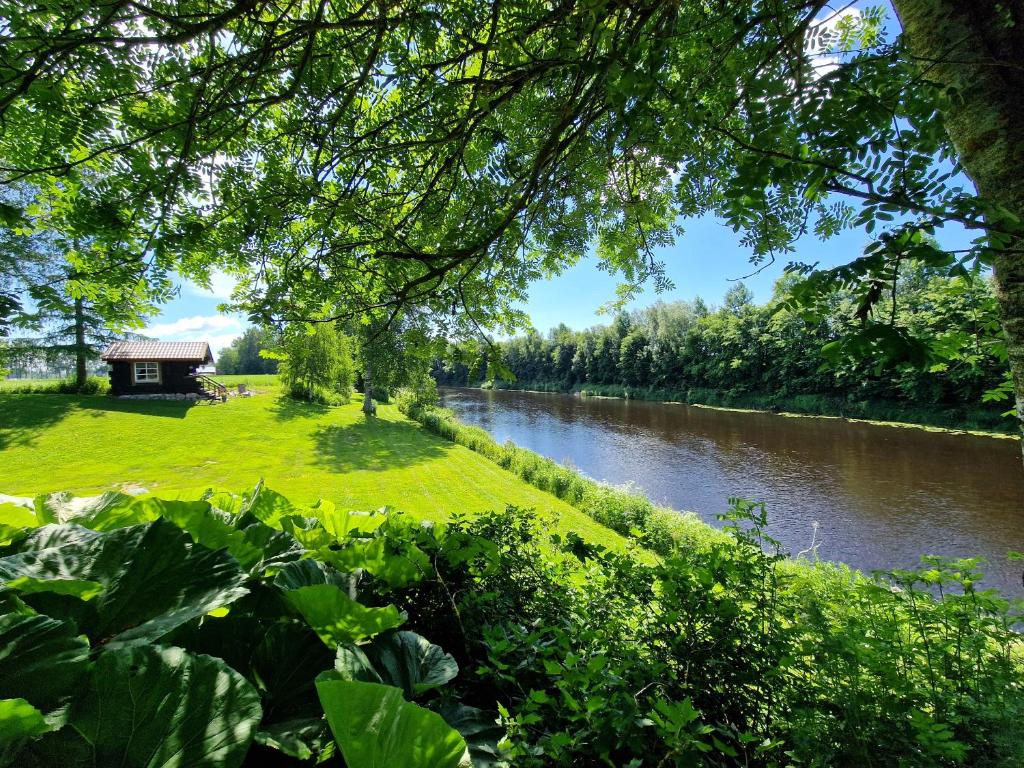 Lapuanjoen Rantakeidas - Bungalow - Water Front