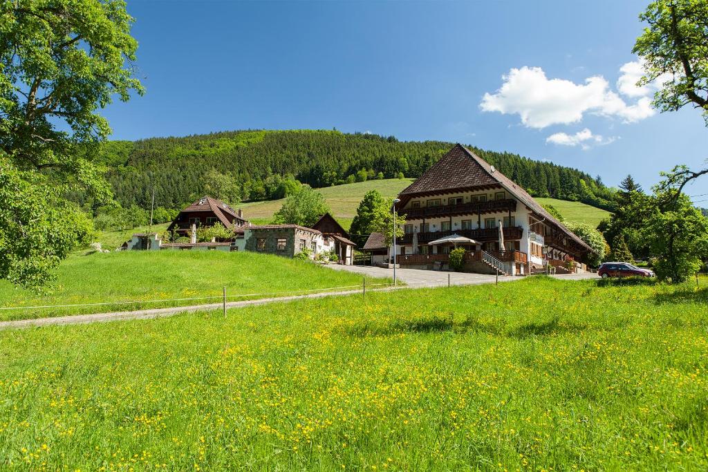 a large building in a field of green grass at Landgasthaus Grüner Baum in Simonswald