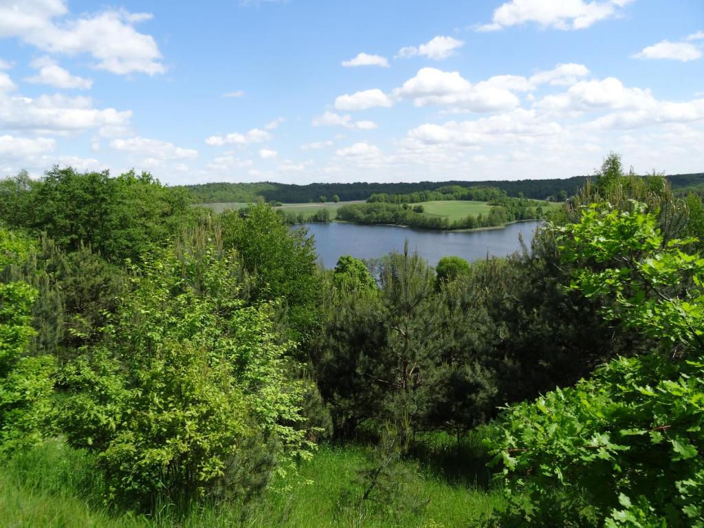 Przyroda w pobliżu tego apartamentu