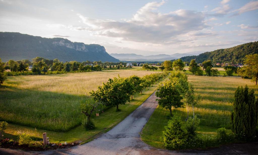 an aerial view of a road in a field with trees at Die Naradhube Ferienwohnungen Wolte in Abriach