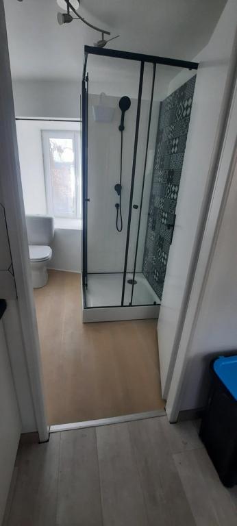 a bathroom with a glass shower with a toilet at Studio sans chambre 2 personnes in Arsac-en-Velay