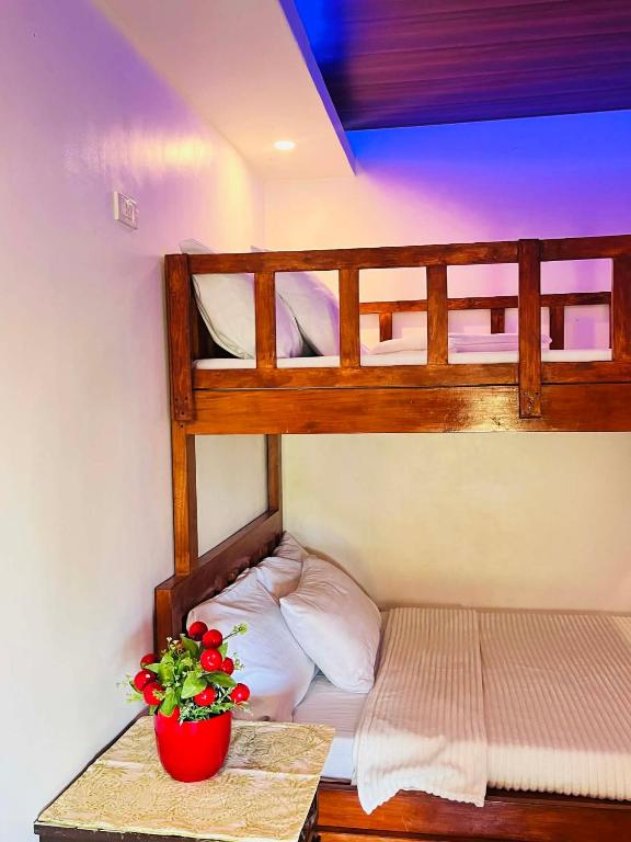 a bedroom with a bunk bed with a plant on a table at Skybloom Farm Resort in Balasic