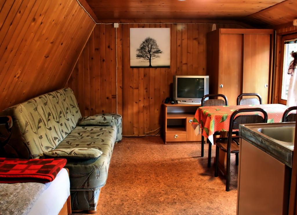 Televízia a/alebo spoločenská miestnosť v ubytovaní Camping Pod Krokwią
