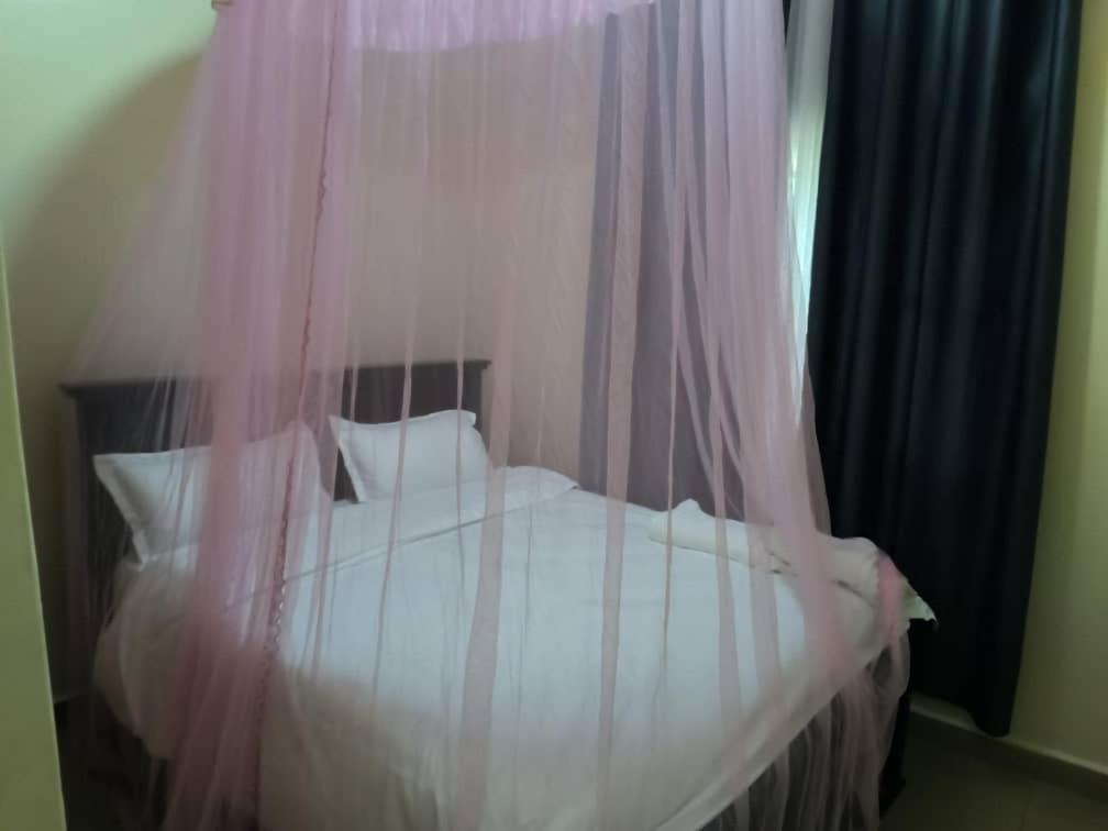 a bedroom with a bed with a mosquito net at Ark House in Soroti