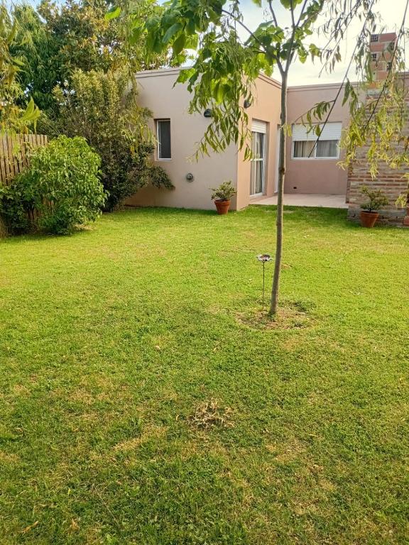 a small tree in the yard of a house at Departamentos Ruca Lauquén in Necochea