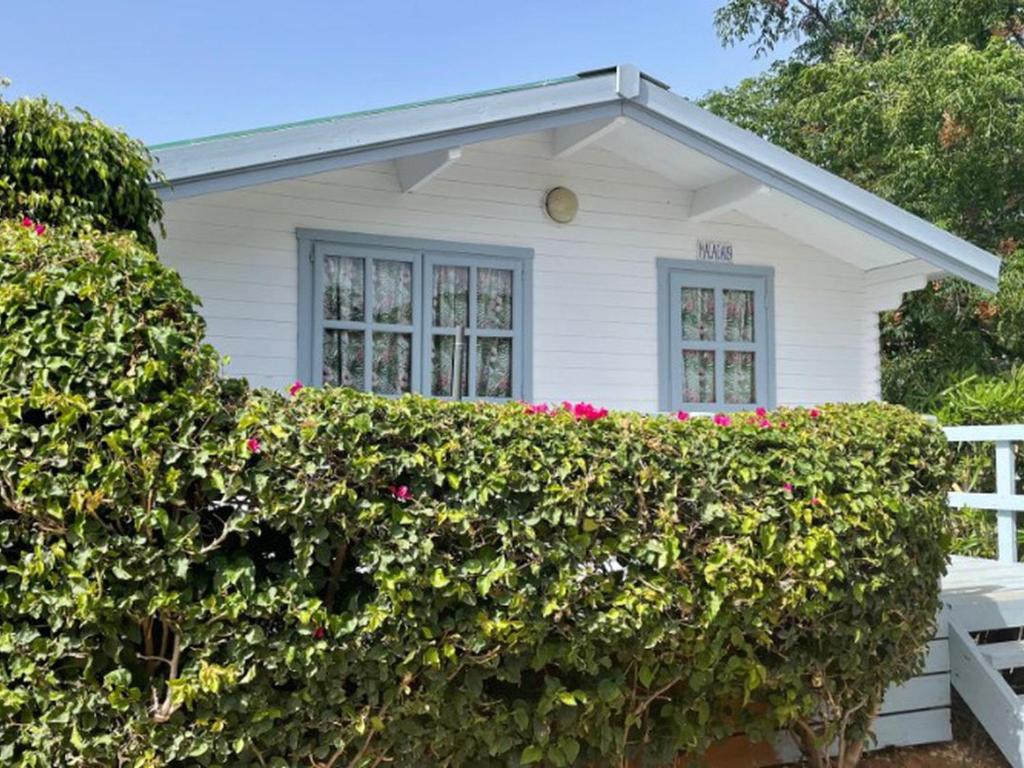 Bungalow Terrasse à Marbella - Pour Couples - API-1-52-1893