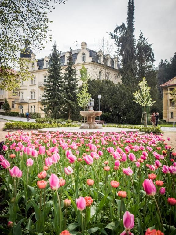 Zahrada ubytování Apartmány Kolonáda