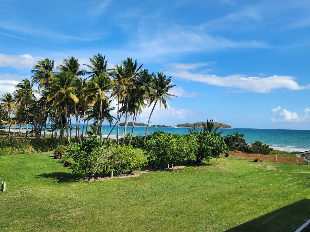 a view of the ocean and palm trees at Ola Azul Apartment in Punta Santiago