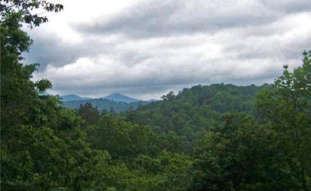 a view of a forest of trees on a cloudy day at Amy’s Blue Ridge Mtn & Starlight View in Ellijay