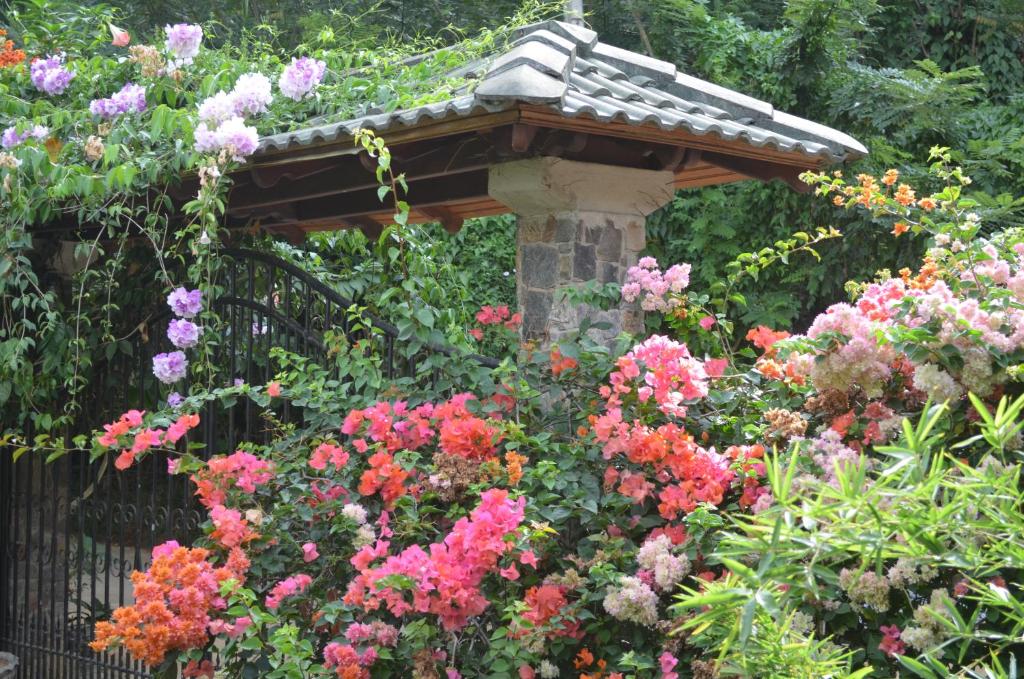 Jardí fora de Country House Hillside