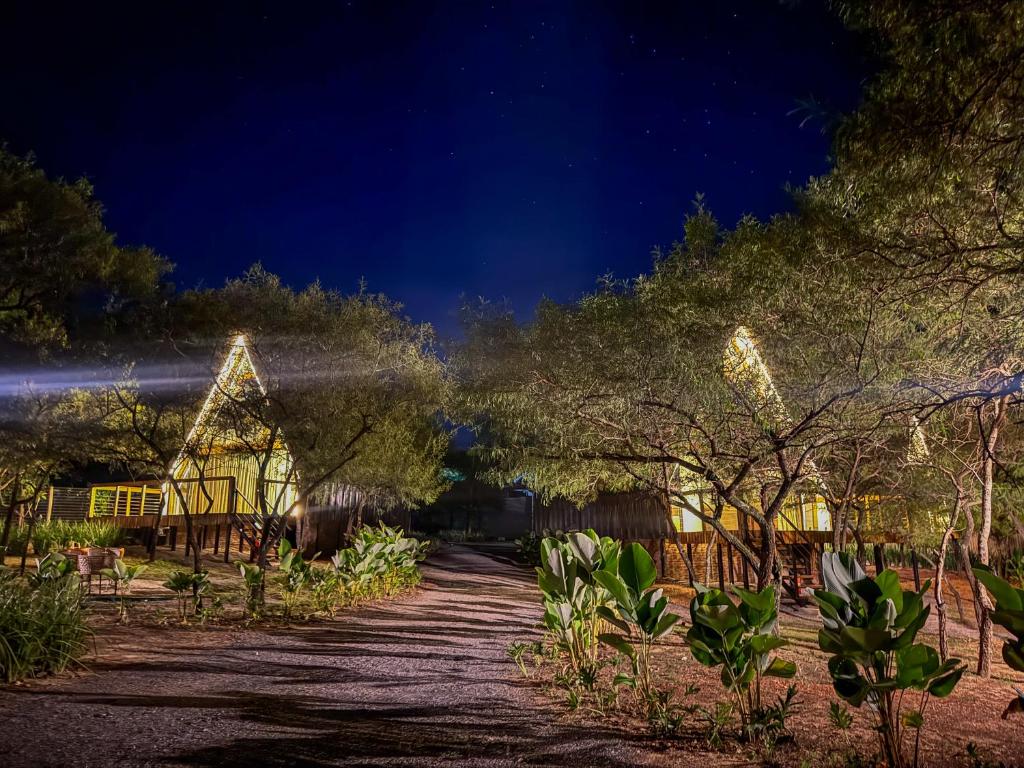 a garden at night with lights on a house at Chalés Exclusivos com Jacuzzi em Bonito Mato Grosso do Sul in Bonito