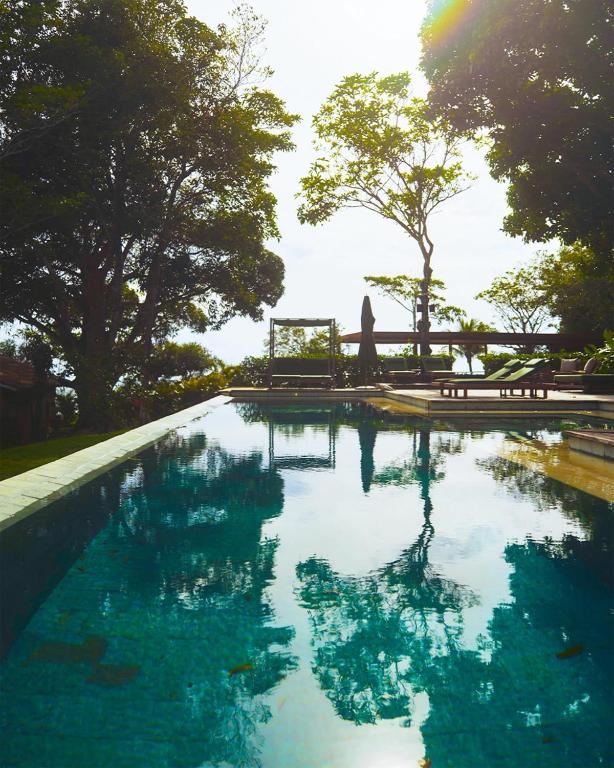 a swimming pool in a park with trees in the background at Vila Figo in Trancoso