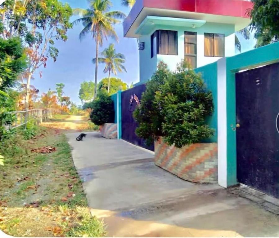 a cat is sitting outside of a house at Lucenas B&B near Maravilla White Sand Beach in Maraat