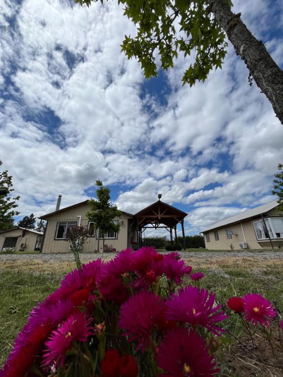 a group of flowers in a field with a gazebo at Cabañas Campestres Inés in Chillán