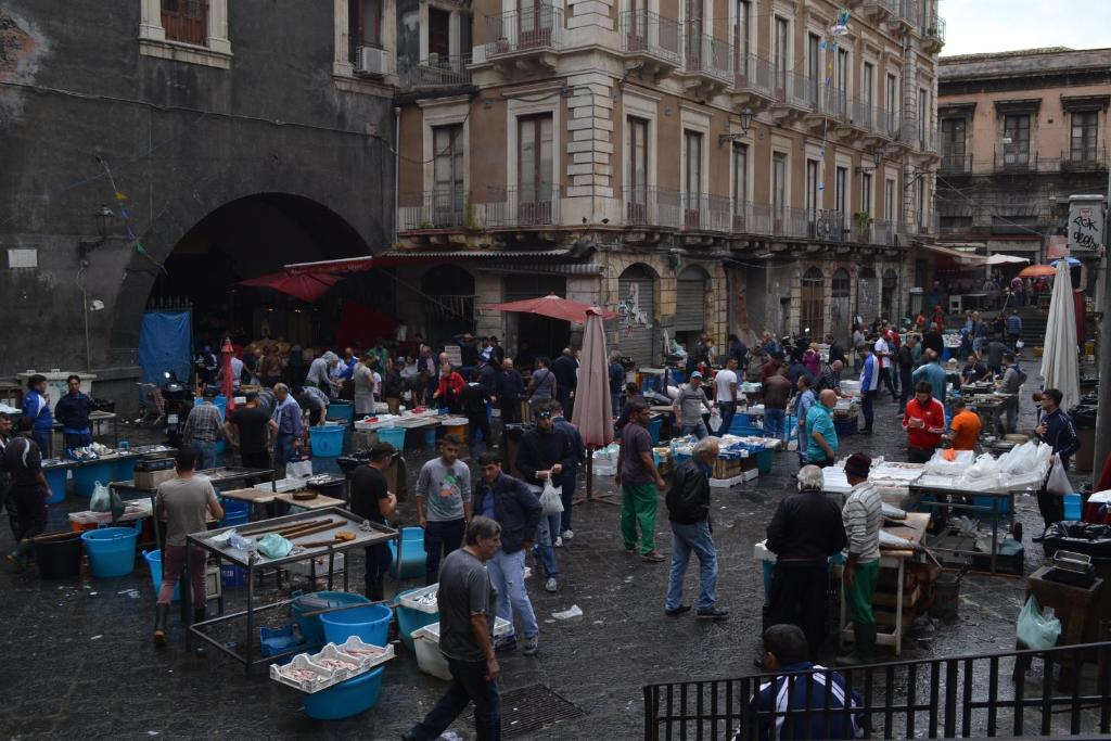 Stesicorea Palace - Resim 33