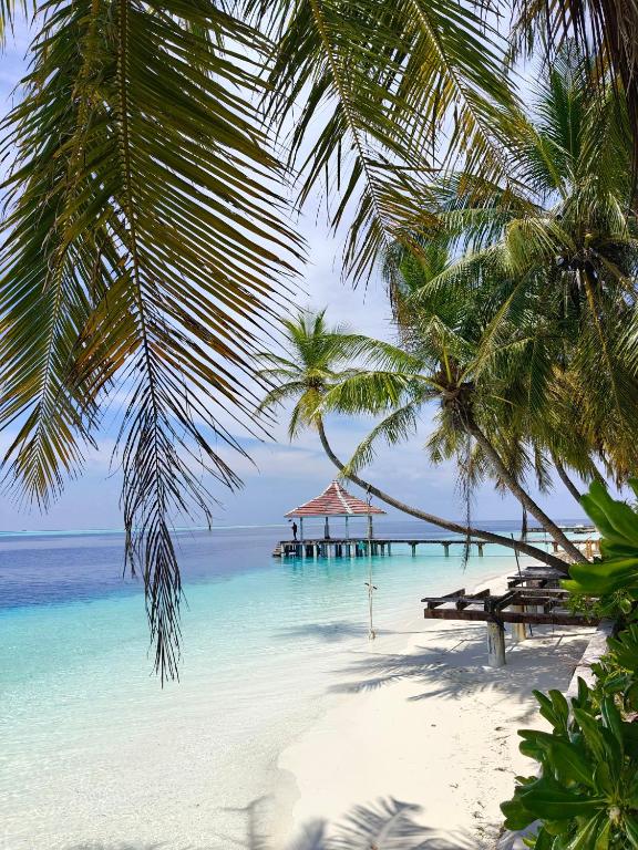 a view of a beach with a pier and the ocean at Karanka Villa @ Mahibadhoo in Mahibadhoo