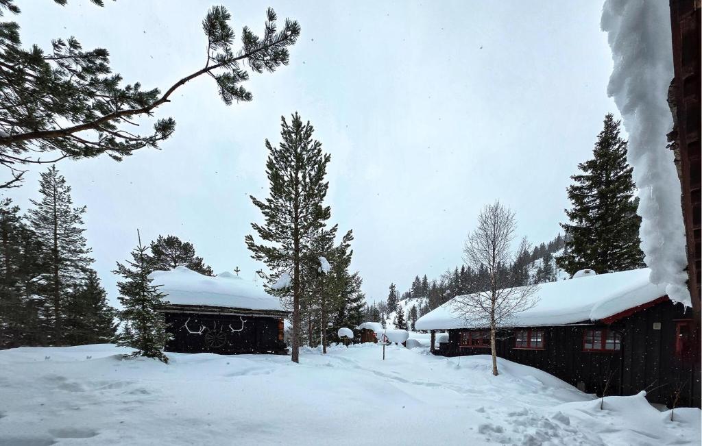 a house with snow on top of it at Gorgeous Home In Flatdal With Sauna in Flatdal