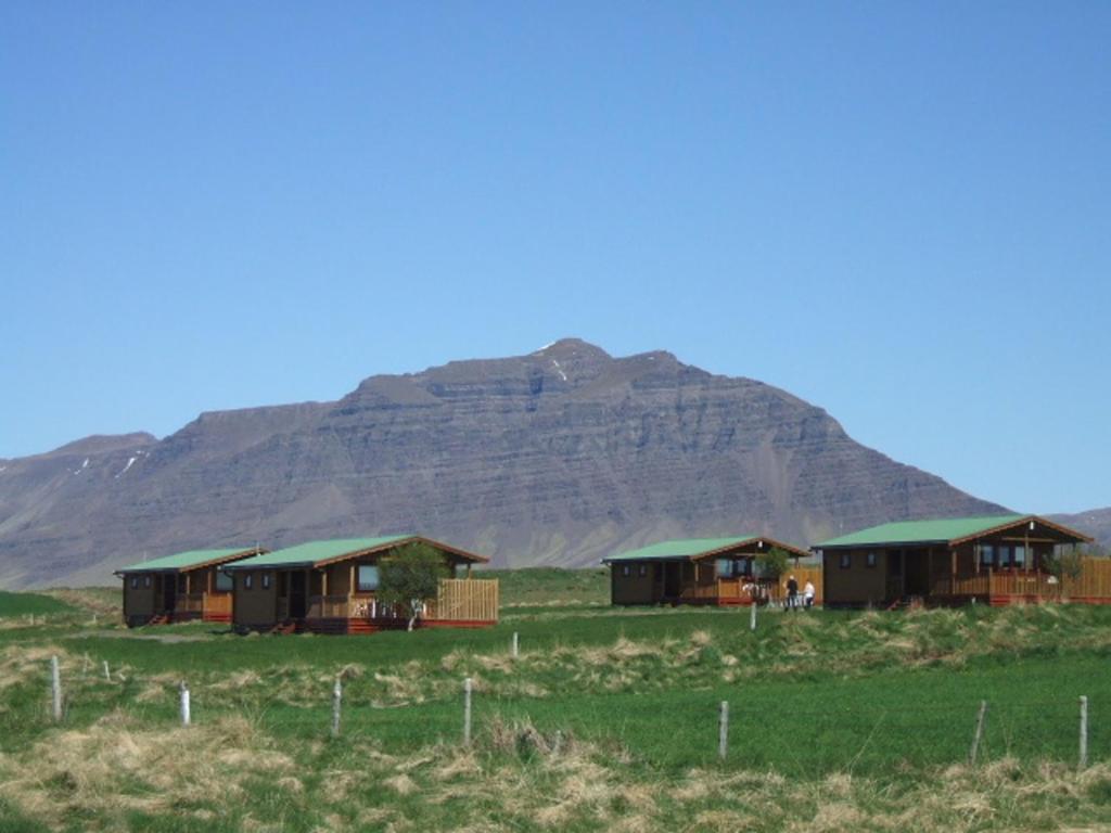 a row of houses in a field with a mountain in the background at Eldborg Cabins and Guesthouse in Kolbeinsstaðir