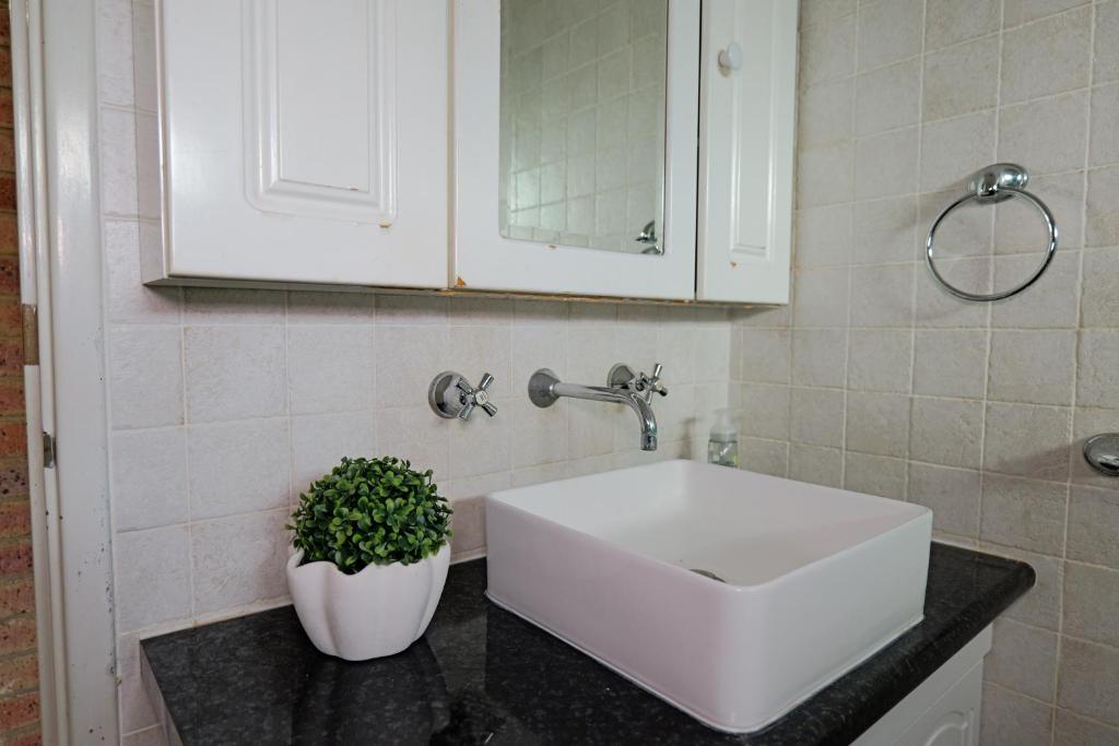 a bathroom with a white sink and a potted plant at Pamusha 2 in Geraldton