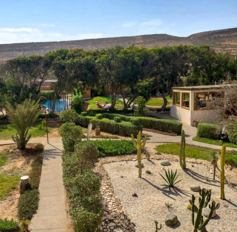 a garden with cacti and plants and a building at Riad Golden Baibah in Zaouia Akermoud