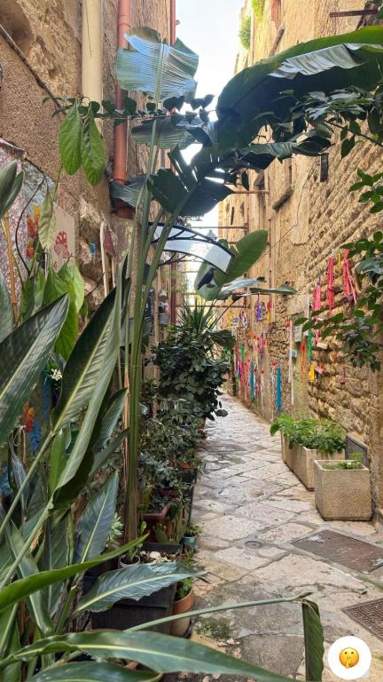 an alley way with plants and an umbrella at La torretta del SUD in Bisceglie