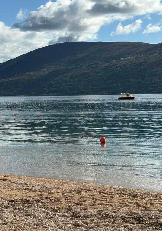 a large body of water with a boat in the distance at Apartman Mimoza - Meljine in Meljine