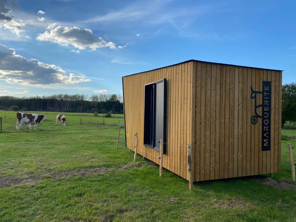 a wooden shed in a field with two cows at Cyclodges – Marguerite et Ferdinand in Hotton