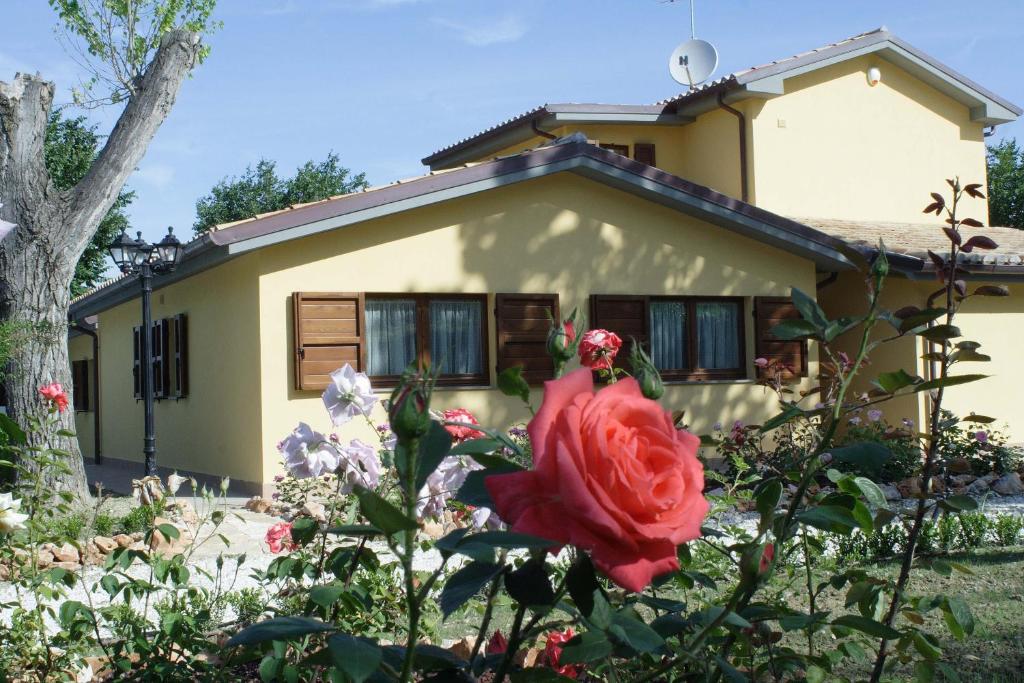 Gallery image of Country House La Madonnina in Senigallia