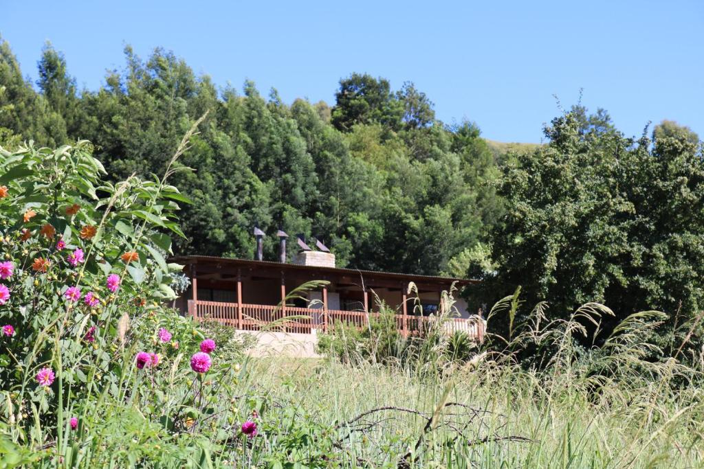 a house in the middle of a field of flowers at The Stix in Dullstroom