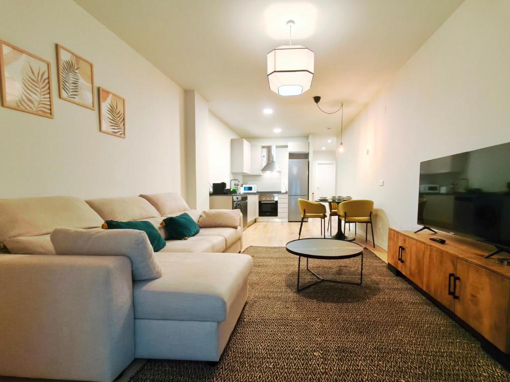 a living room with a couch and a tv and a table at Apt 1 hab Catedral I, Centro Histórico in Valladolid