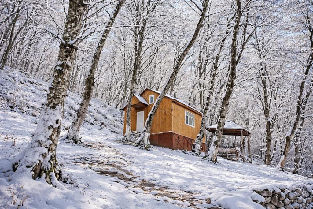 a small cabin in the woods in the snow at Colorato Quba in Qırmızı Qǝsǝbǝ