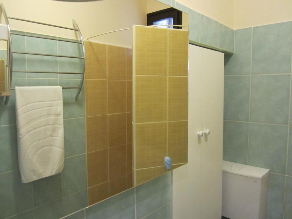 A bathroom at Dudi Apartman