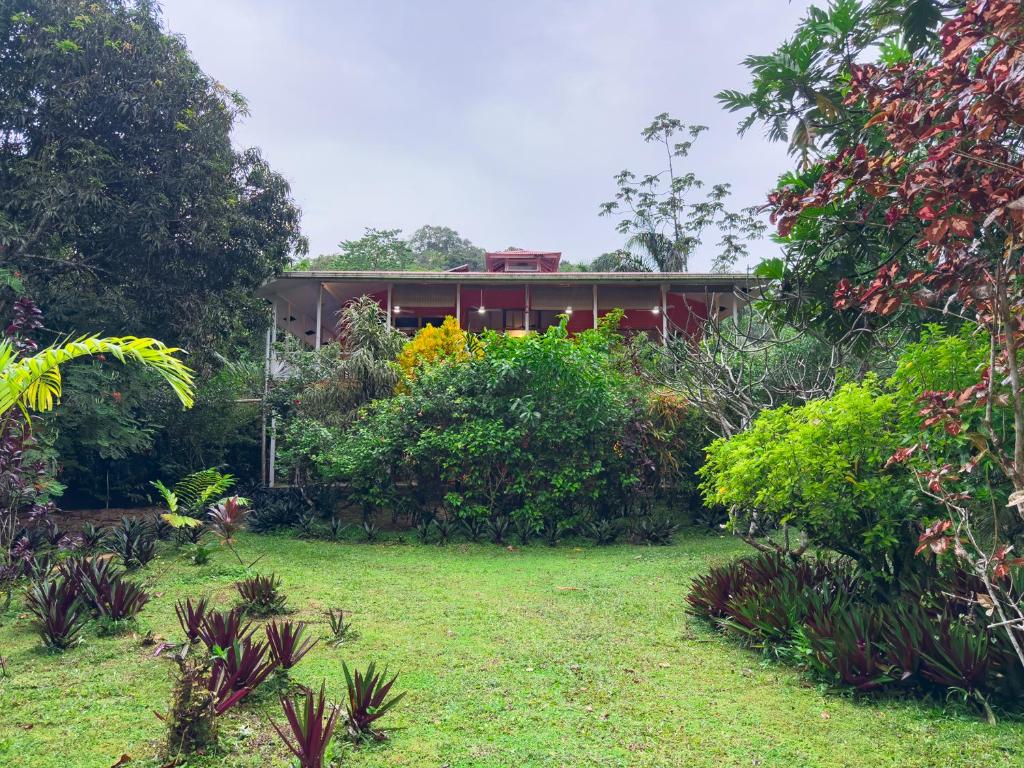 a house in the middle of a garden at Conchy Tonk in Bocas Town