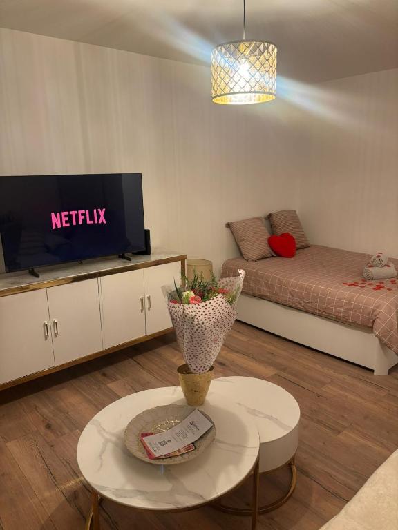 a living room with a couch and a tv at Le Cocon - Paris - Netflix - Parking in Noisy-le-Grand