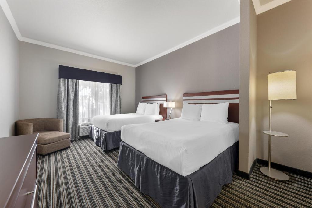 Best Western Plus Austin Airport Inn & Suites - Suite Queen Con Dos Camas Queen Y Sofá Cama
