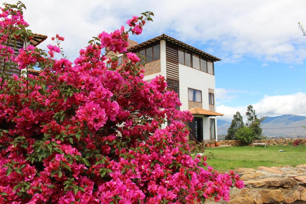 a bush of pink flowers in front of a house at Posada San Esteban in Sutamarchán