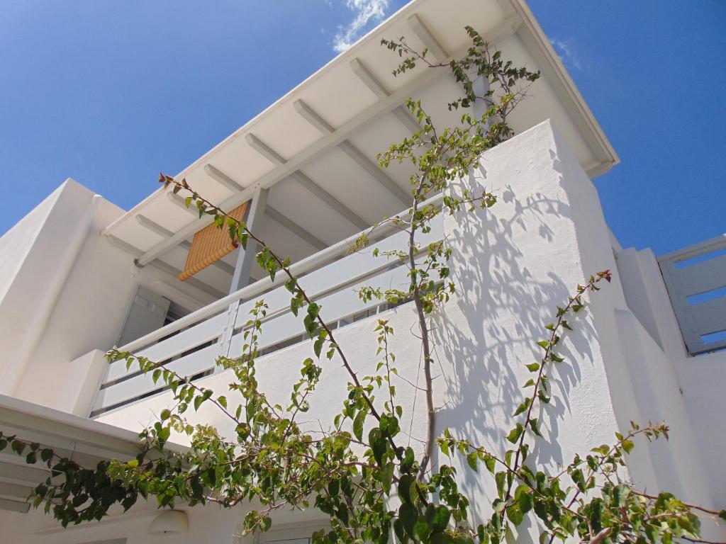 Balkón nebo terasa v ubytování George's Seaside Apartments Sifnos