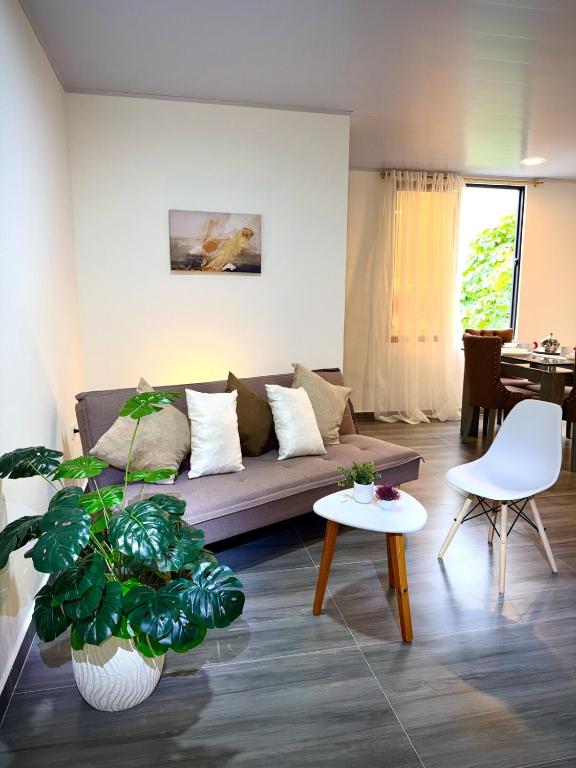 a living room with a couch and a table at Amazon Luxury Loft 201 in Florencia