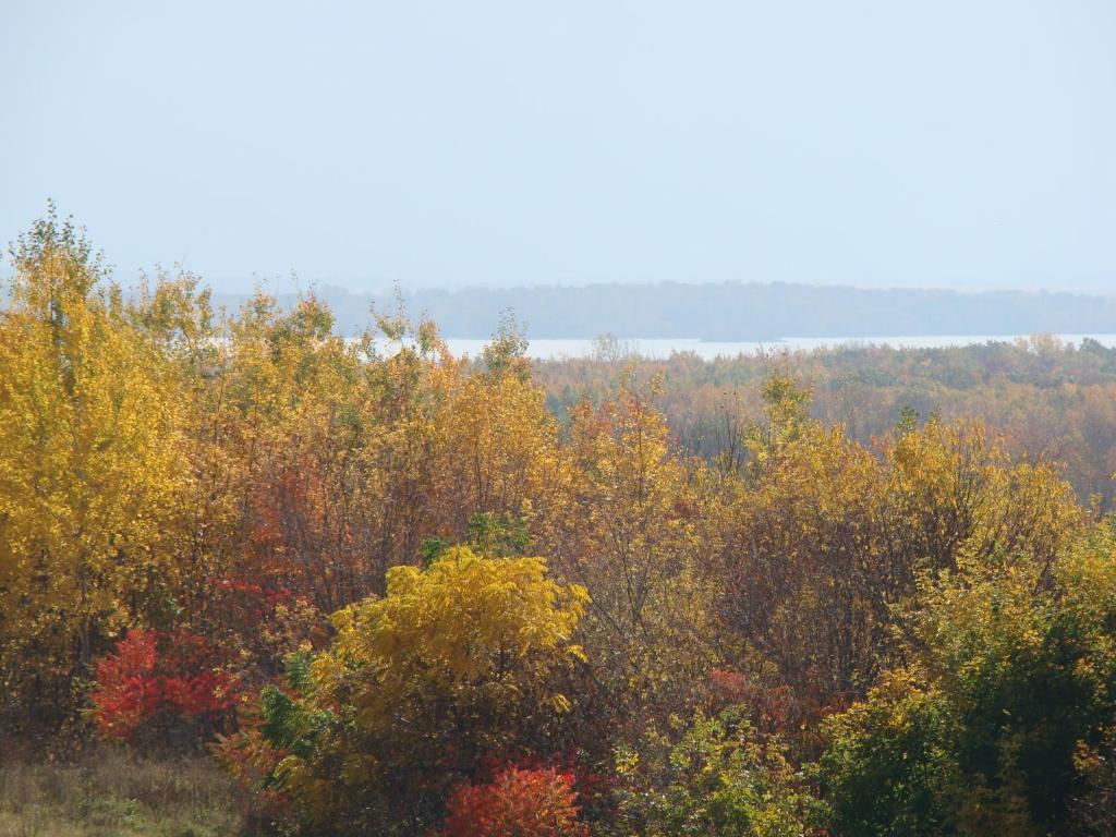Natuurlandschap vlak bij de bed & breakfast