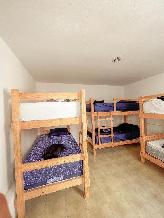 Hostel Casa Maguey - Cama En Habitación Compartida Mixta De 6 Camas