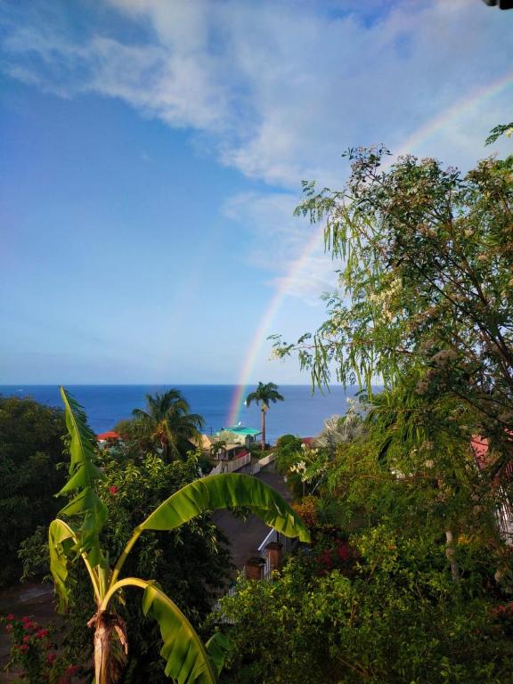 a rainbow in the sky over the ocean with trees at Ti Sucrier Jaune - Douceur caraïbe vue mer in Le Carbet