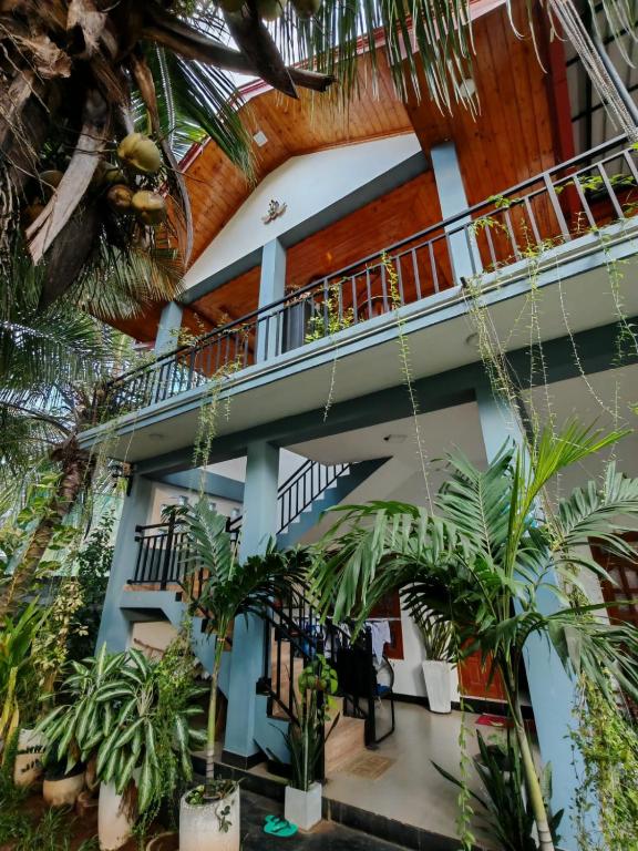 a view of the lobby of a house with plants at Rose Fort Homestay in Jaffna