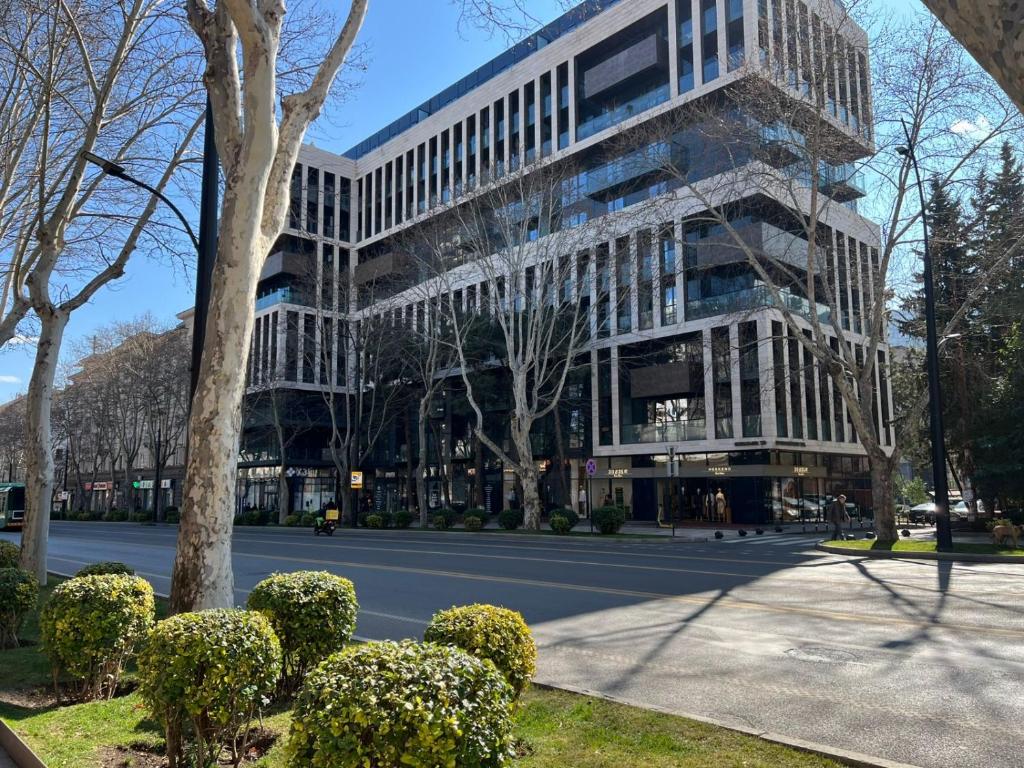 لابی و فضای عمومی Green tudio Chavchavadze Avenue 50 - تصویر ۵