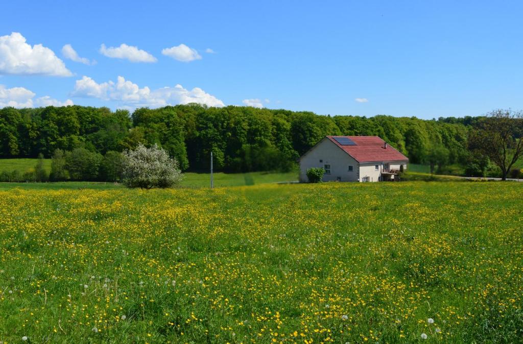 a field of yellow flowers in front of a house at Chambres d'hôtes La Trottelée in Bellefontaine