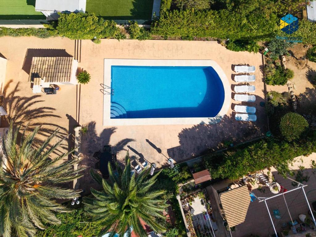 an overhead view of a swimming pool with palm trees at Can Moragues and Martorell in Badia Blava